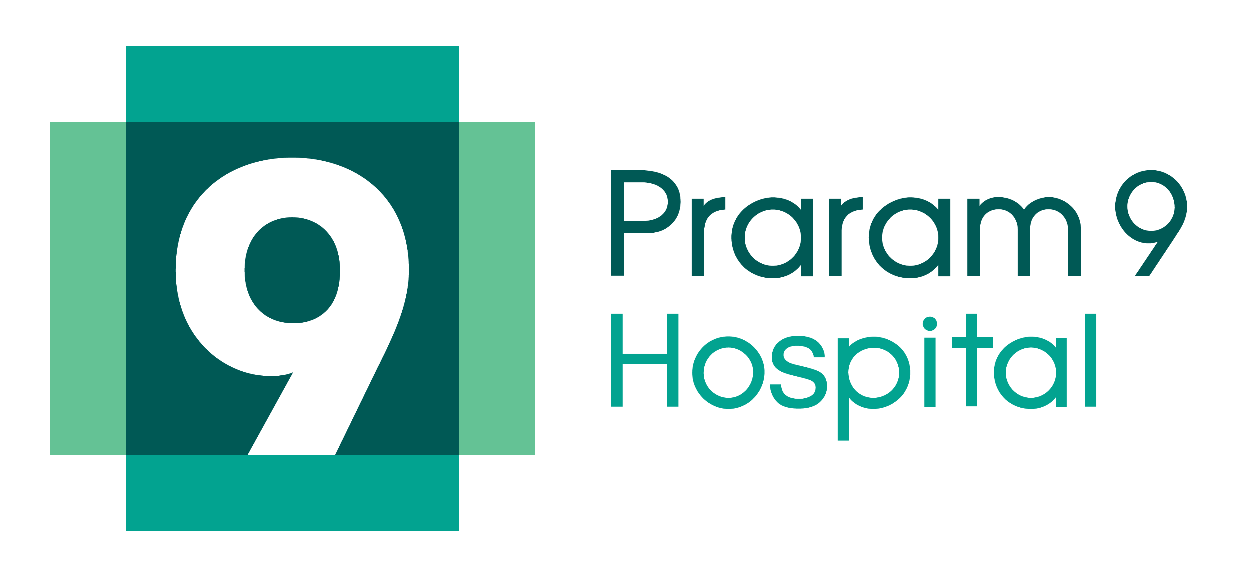 Praram-9-Hospital.png