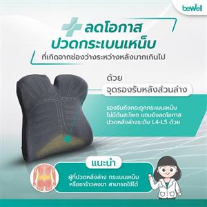 เบาะรองหลังเมมโมรี่โฟม รุ่น Ergocushion Plus EC03