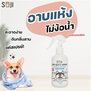 โฟมอาบน้ำแห้ง พรีเมี่ยม SOJI เบบี้พาวเดอร์ 250 ml